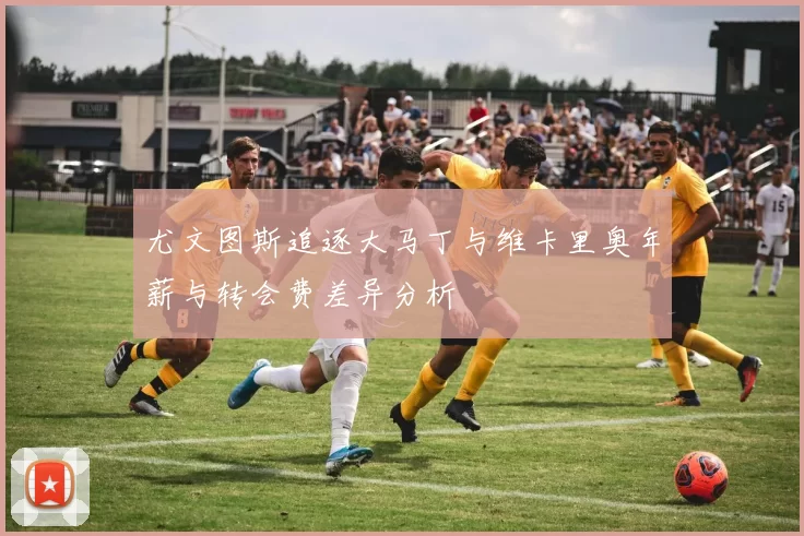 尤文图斯追逐大马丁与维卡里奥年薪与转会费差异分析