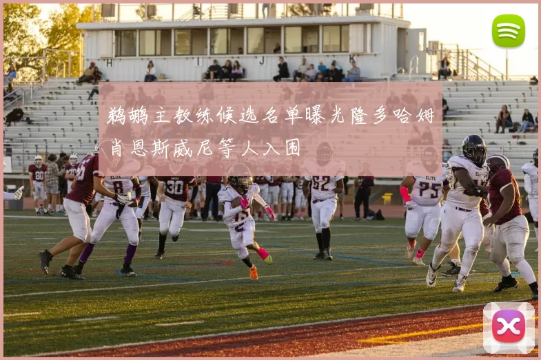 鹈鹕主教练候选名单曝光隆多哈姆肖恩斯威尼等人入围