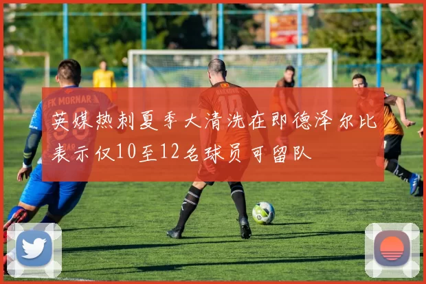 英媒热刺夏季大清洗在即德泽尔比表示仅10至12名球员可留队